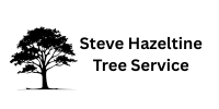 Steve Hazeltine Tree Service (200 x 100 px) (1)
